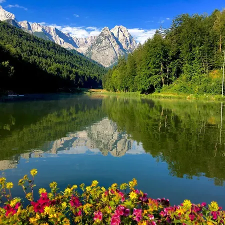 Alpine Escape With Mountain View