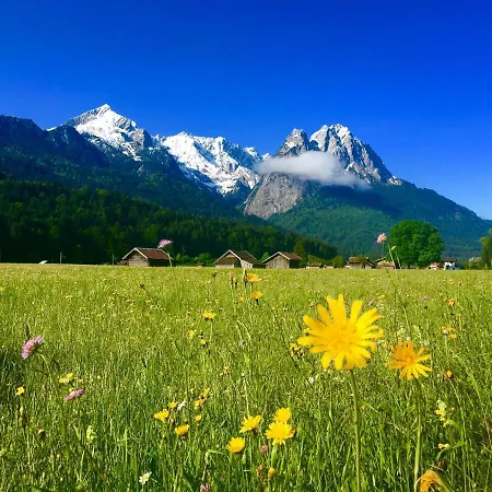 別荘 Alpine Escape With Mountain View *