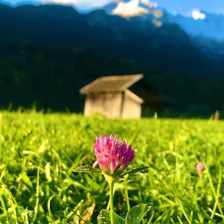 Alpine Escape With Mountain View ガルミッシュ・パルテンキルヒェン